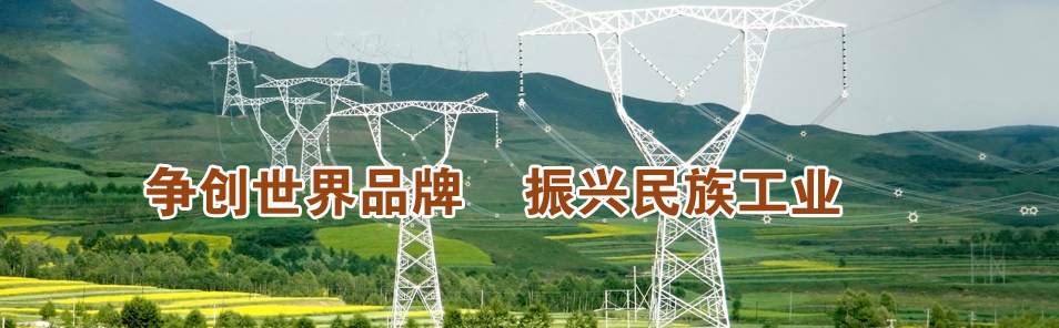 长瑞电力